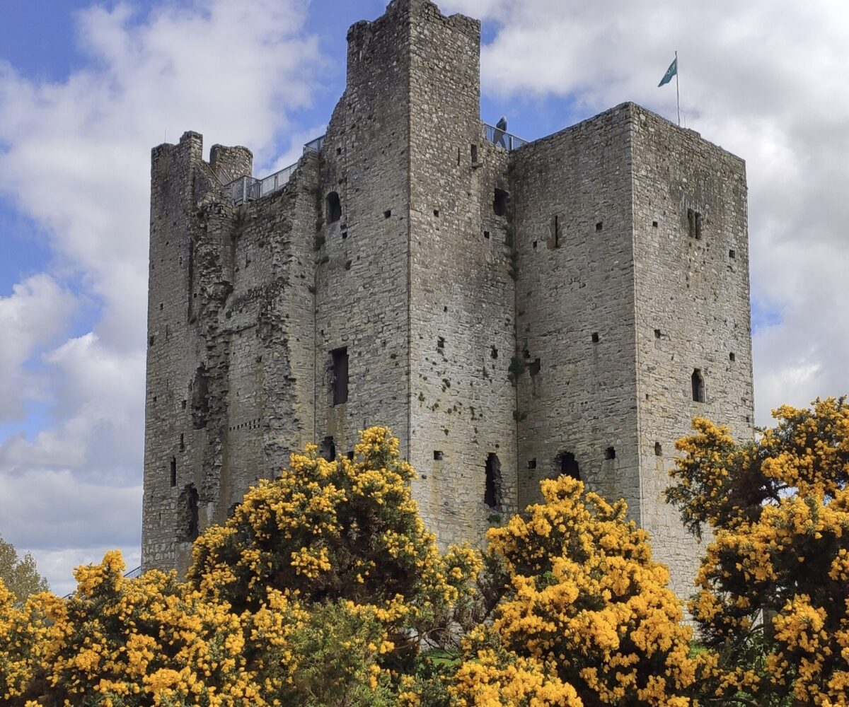 Lovely sunny day and yellow gorse at Ireland's largest Anglo-Norman castle in Trim