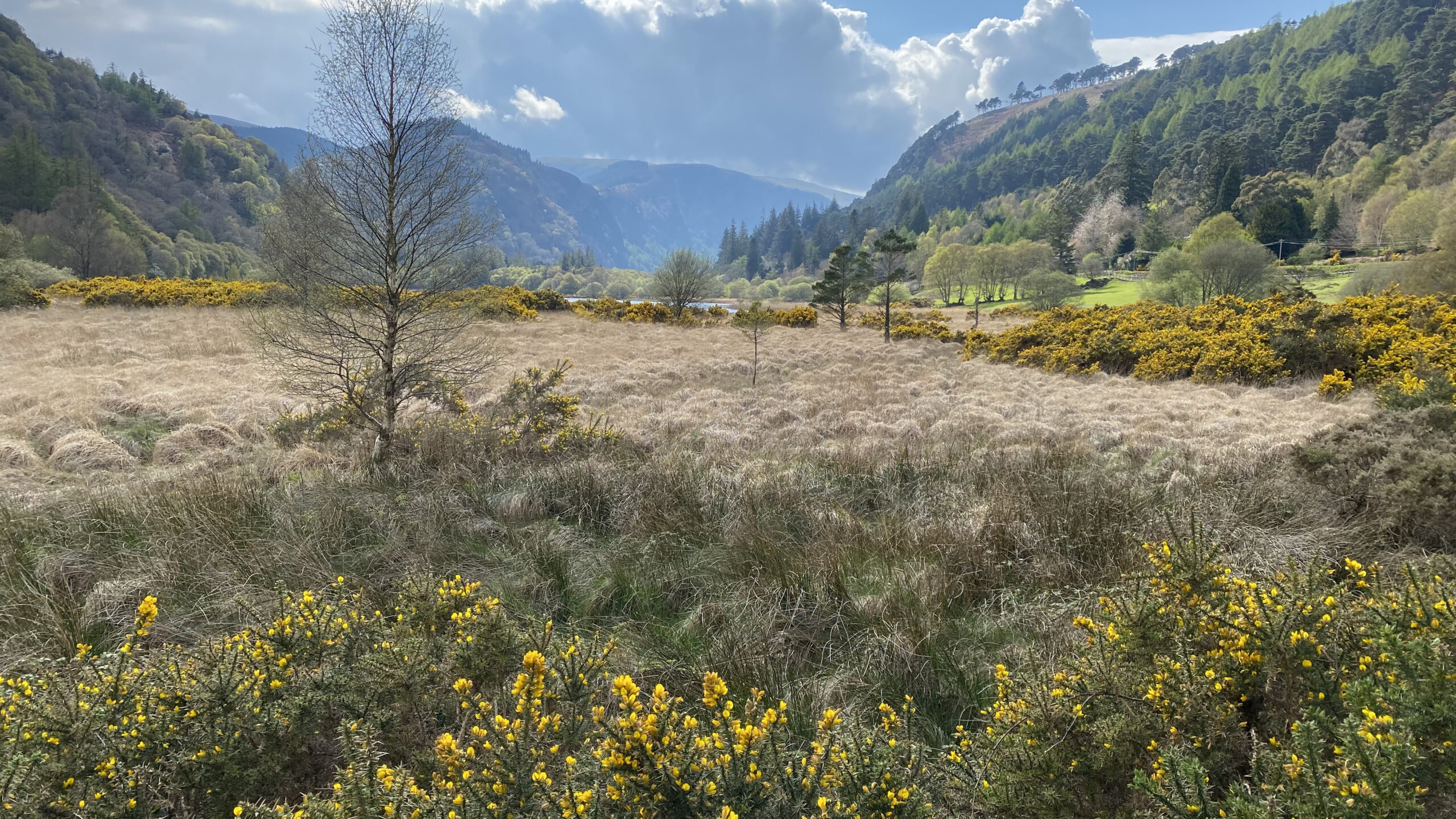 multi-day tour of Ireland, Glendalough